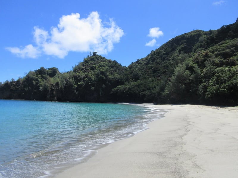 山を下った先にある初寝浦海岸